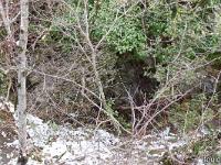 Saint Donat le Haut  Elle est la en bas ! ...