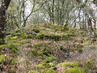 Saint Donat le Haut  Vestiges d'une petite chapelle au dessus de la doline au Sud