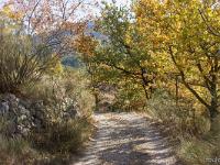 Tour du cirque de Valbelle  Le long de cette piste se trouvent des murets de pierres. Toutes les terres étaient travaillées ici jadis