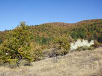 Tour du cirque de Valbelle  Ruine près de la piste au niveau de Champ Goutan. C'est ici que je quitte la piste pour empreinter le sentier vers le Pas de Peipin