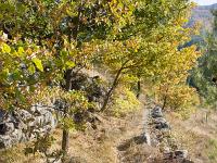 Tour du cirque de Valbelle  Ce sentier qui devait être carossable est bordé de part et d'autre de murets. Il se perd 500 m plus loin