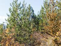 Tour du cirque de Valbelle  Vue sur le sentier