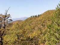 Tour du cirque de Valbelle  Crêtes de Chapage (990m au point le plus haut)