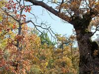 Tour du cirque de Valbelle  Autre vue sur le sentier