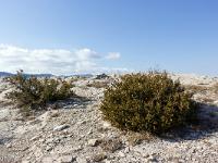Tour du cirque de Valbelle  En bordure de crête