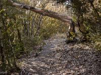 Tour du cirque de Valbelle  Le sentier