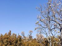 Tour du cirque de Valbelle  Le sentier