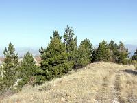 Tour du cirque de Valbelle  Le sentier sur la ligne de crête