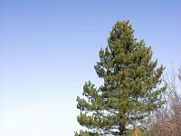Tour du cirque de Valbelle  Le sentier sur la ligne de crête
