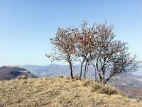 Tour du cirque de Valbelle  Vue vers le Nord