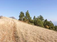 Tour du cirque de Valbelle  Le sentier