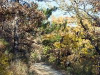 Tour du cirque de Valbelle  Sur le GR 6 au niveau de Ponchette