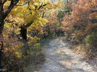 Tour du cirque de Valbelle  Le Sentier. La lumière change. Il est environ 17 heures