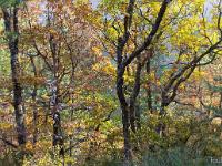 Tour du cirque de Valbelle  Lumière d'automne en fin de journée