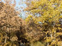Tour du cirque de Valbelle  Vue sur le sentier