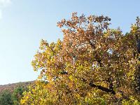 Tour du cirque de Valbelle  Lumière d'automne en fin de journée