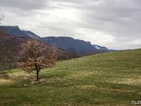 Sisteron - Tour saint Domnin - chemin de la Nuierie  Vue sur les crêtes de Lure au loin, de gauche à droite Sumiou, Pélegrine et Boudeichard au second plan et Chapage au 1er plan à gauche