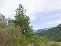 Valbelle  Sentier au Sud de Valbelle (Les Richauds) ...