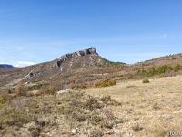 St May - Col de St May  Les falaises de la montagne de Buègues ou nichent les vautours (moines, fauves, percnoptères et le gypaète barbu) Le vautour fauve et le plus présent des quatre