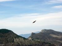 Rémuzat - Rocher du Caire  Février 2017