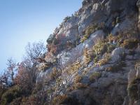 St May - Col de St May  Un vautour rase la falaise ! Pas facile à photographier. Ils volent très vite !