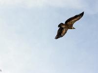 Rémuzat - Rocher du Caire  Février 2017