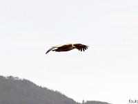 Rémuzat - Rocher du Caire  Février 2017