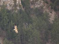 Rémuzat - Rocher du Caire  Février 2017