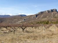 St May - Col de St May  Petit verger