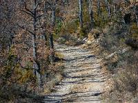 St May - Col de St May  Nous cheminons maintenant sur une jolie piste