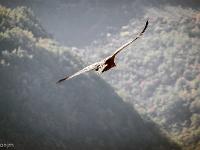 Rémuzat - Rocher du Caire  17 octobre 2017