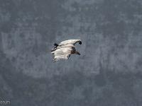 Rémuzat - Rocher du Caire  17 octobre 2017