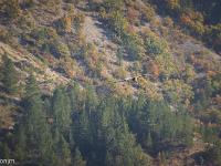 Rémuzat - Rocher du Caire  17 octobre 2017