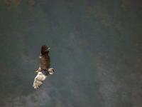 Rémuzat - Rocher du Caire  17 octobre 2017