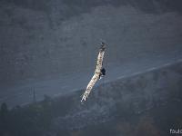 Rémuzat - Rocher du Caire  17 octobre 2017