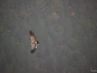 Rémuzat - Rocher du Caire  17 octobre 2017