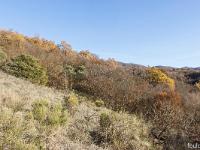 L'Escale - Vière ou Ville Vieille  Vue vers l'Est durant la montée