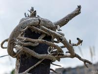 Je m'étais bien accroché 1/2