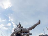 Je m'étais bien accroché 2/2