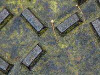 Que le meilleur gagne !