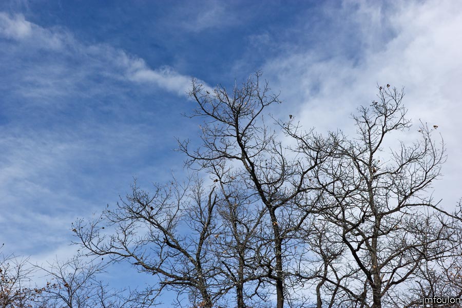 salignac-07web.jpg - Vers l'Ouest le ciel est encore bleu, hormis les restes de quelques traînées d'avion ...