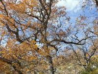 Rando de Pierre Ecrite  Sur le sentier ...