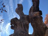 Rando de Pierre Ecrite  Ceux-ci interpellent l'imagination ! ...