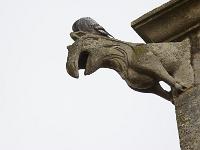 venasque-014-2  Vénasque - Église romane Notre-Dame - Gargouille à la base du clocher