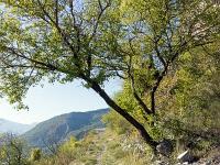 Barret-de-Lioure - Drôme  Vue vers l'Ouest depuis la Clastre ...