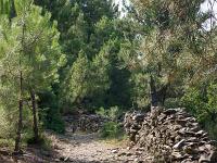 Beaumont- Cévenne ardéchoise  Celui-ci est bordé de murets de pierre sur le côté donnant sur la pente