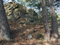 Beaumont- Cévenne ardéchoise  Minéral et végétal ...