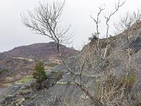 Du côté de Bevons un jour pluvieux d'hiver  Marnes. au loin le Puy (835m)