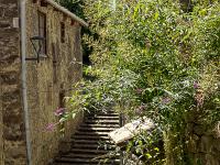 Bourdeaux  Tout à fait charmant ! ...