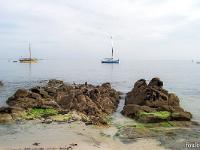 Bretagne 2007  Ile d'Hedic - Comme un toile sur fond de mer